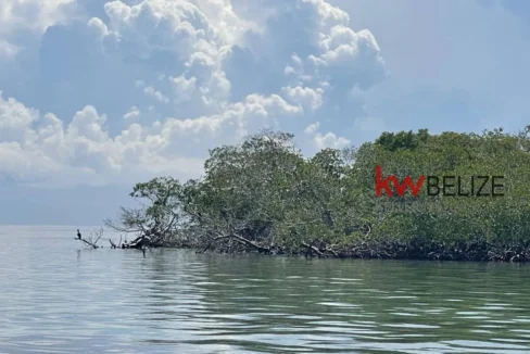 kellerwilliamsbelize-i2082-14