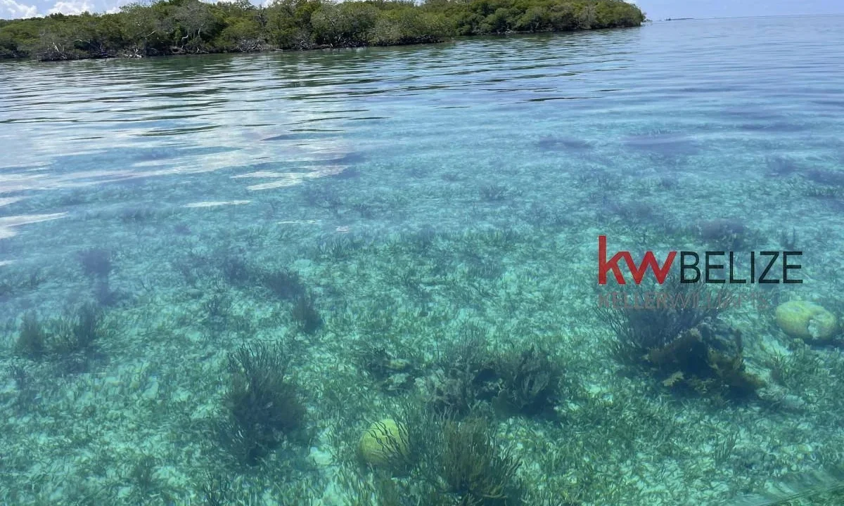 kellerwilliamsbelize-i2082-17
