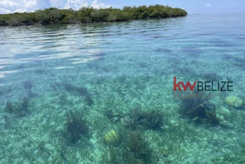 kellerwilliamsbelize-i2082-17