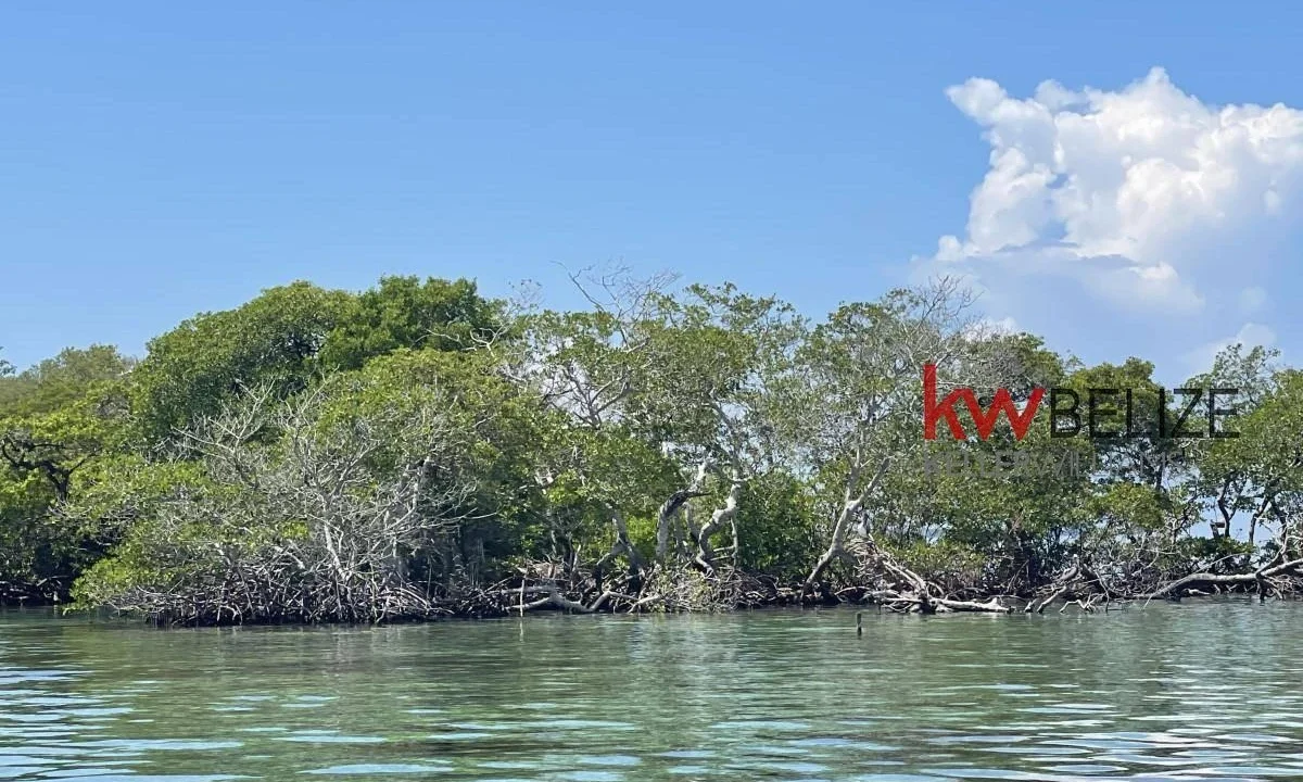 kellerwilliamsbelize-i2082-20