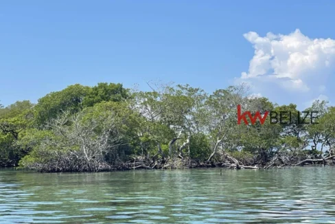 kellerwilliamsbelize-i2082-20