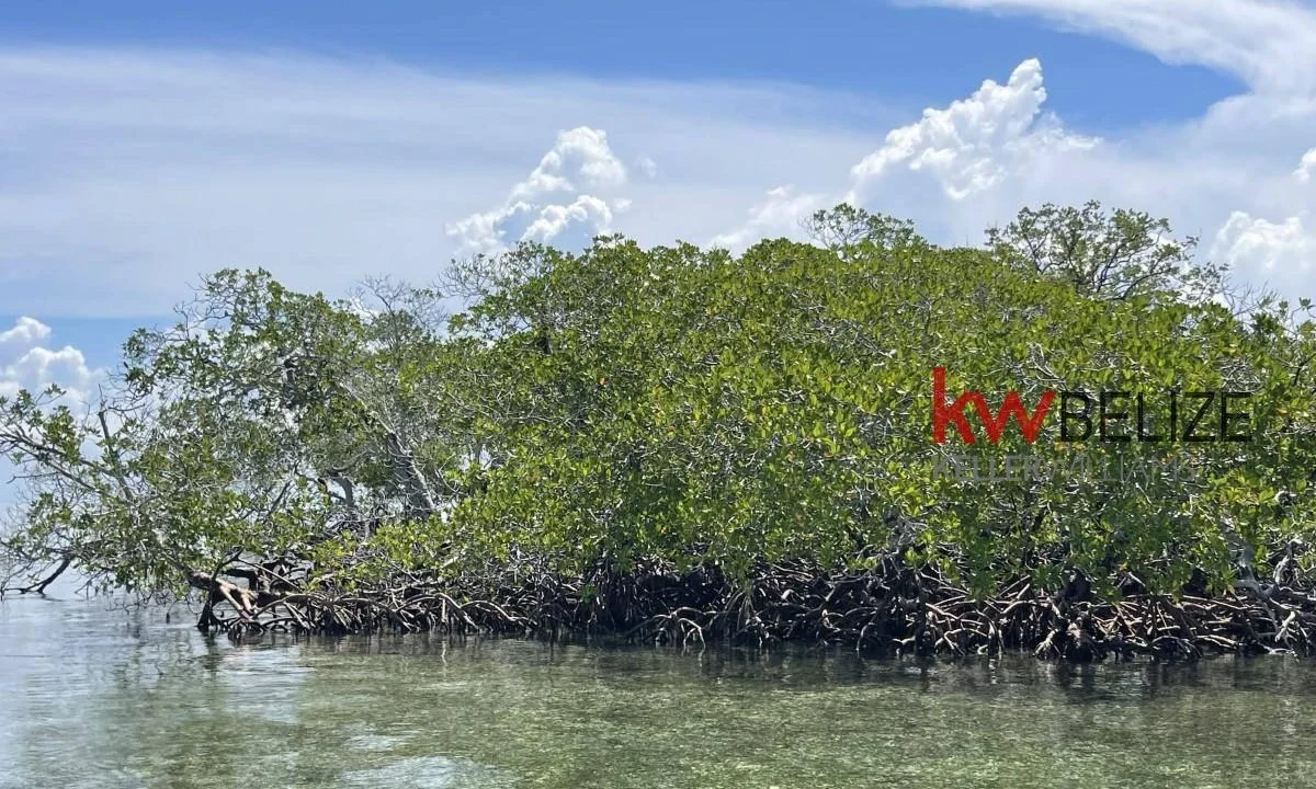 kellerwilliamsbelize-i2082-21