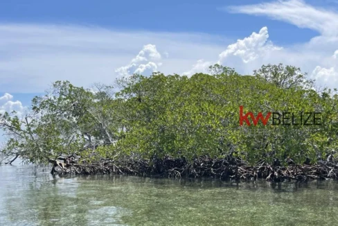 kellerwilliamsbelize-i2082-21