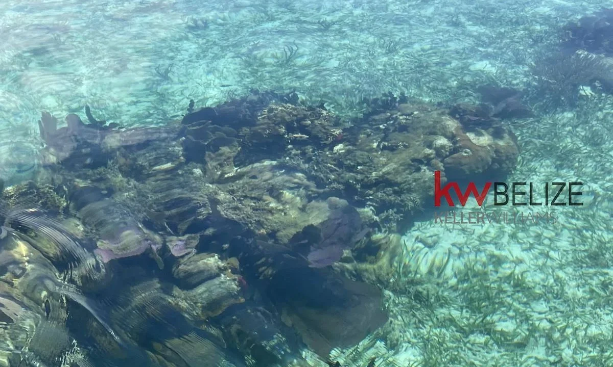 kellerwilliamsbelize-i2082-22