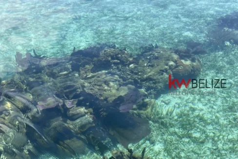 kellerwilliamsbelize-i2082-22