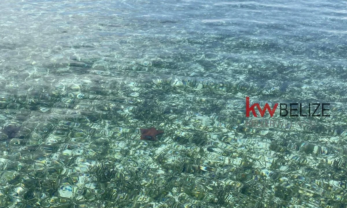 kellerwilliamsbelize-i2082-23