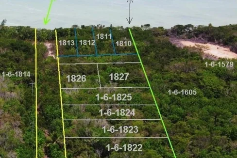 kellerwilliamsbelize-igl112311cz-06