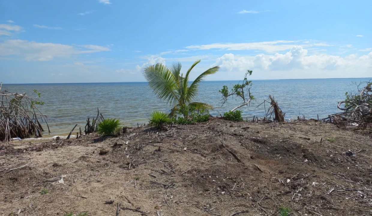kellerwilliamsbelize-igl112311cz-07