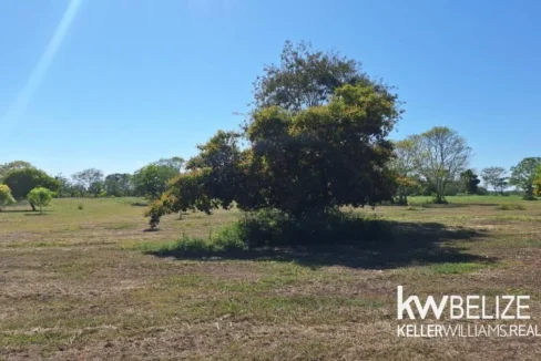 kellerwilliamsbelize-jdl052603cz-05