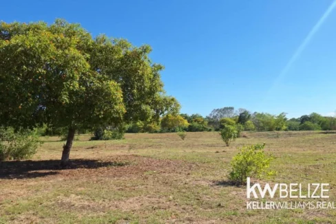 kellerwilliamsbelize-jdl052603cz-06