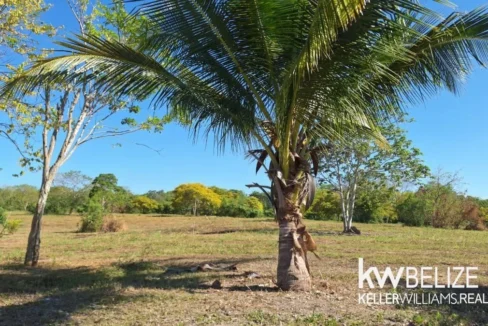 kellerwilliamsbelize-jdl052603cz-07