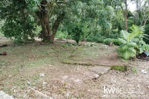 kellerwilliamsbelize-jml192608td-03