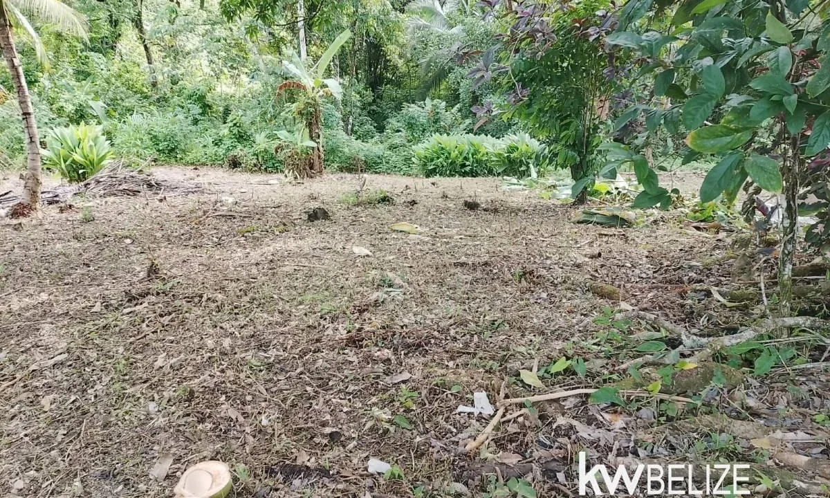 kellerwilliamsbelize-jml192608td-04