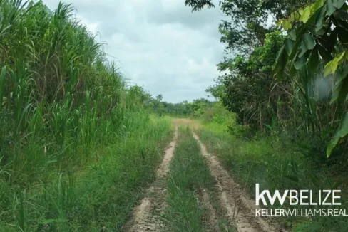 kellerwilliamsbelize-l012606sg-02