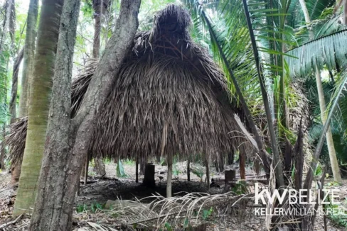 kellerwilliamsbelize-l012606sg-03