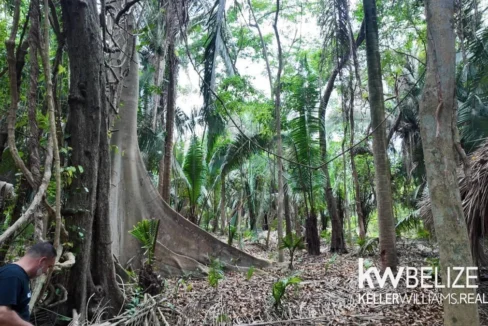 kellerwilliamsbelize-l012606sg-04