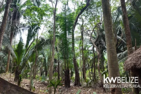 kellerwilliamsbelize-l012606sg-08