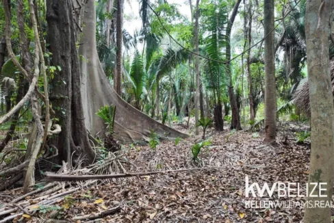 kellerwilliamsbelize-l012606sg-09