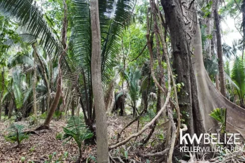 kellerwilliamsbelize-l012606sg-10