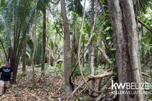 kellerwilliamsbelize-l012606sg-11