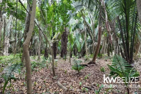 kellerwilliamsbelize-l012606sg-12