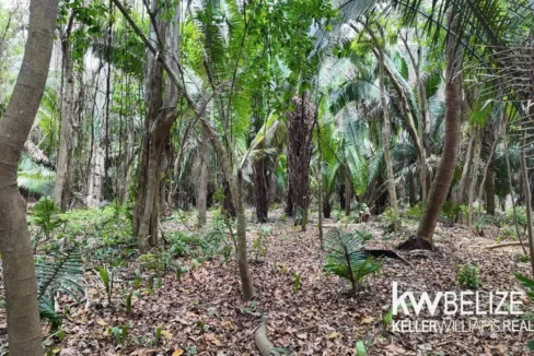 kellerwilliamsbelize-l012606sg-13