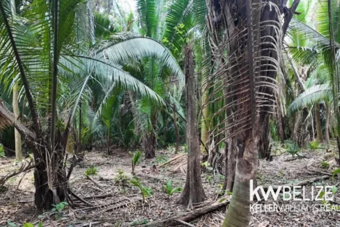kellerwilliamsbelize-l012606sg-14