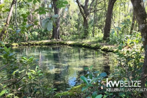 kellerwilliamsbelize-l022602sj-01