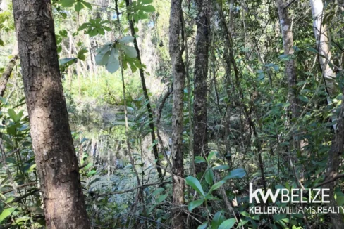 kellerwilliamsbelize-l022602sj-03