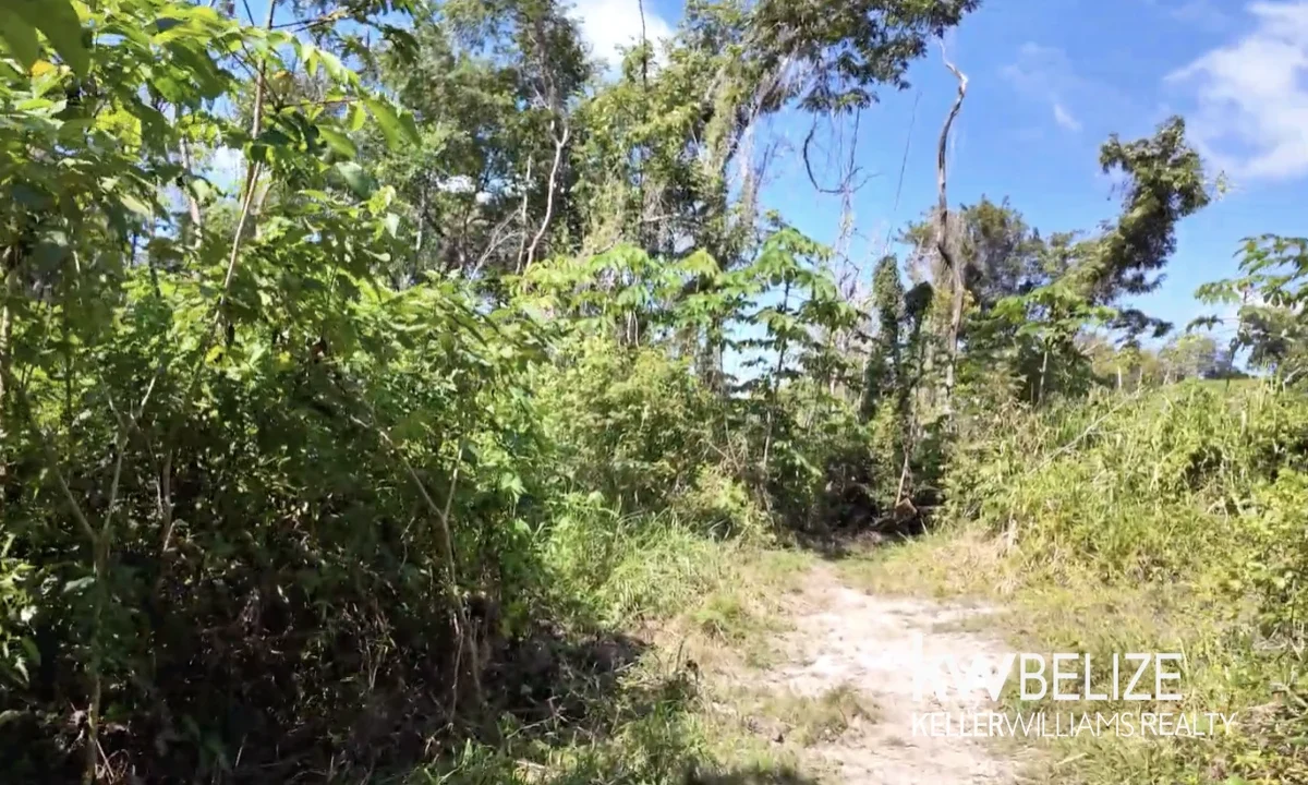 kellerwilliamsbelize-l022602sj-04