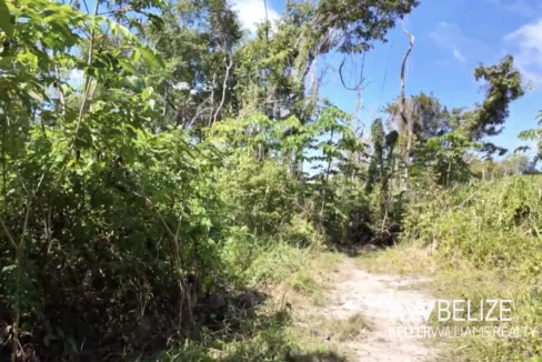 kellerwilliamsbelize-l022602sj-04