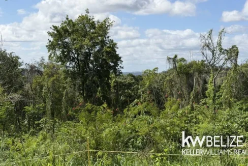 kellerwilliamsbelize-l022602sj-06