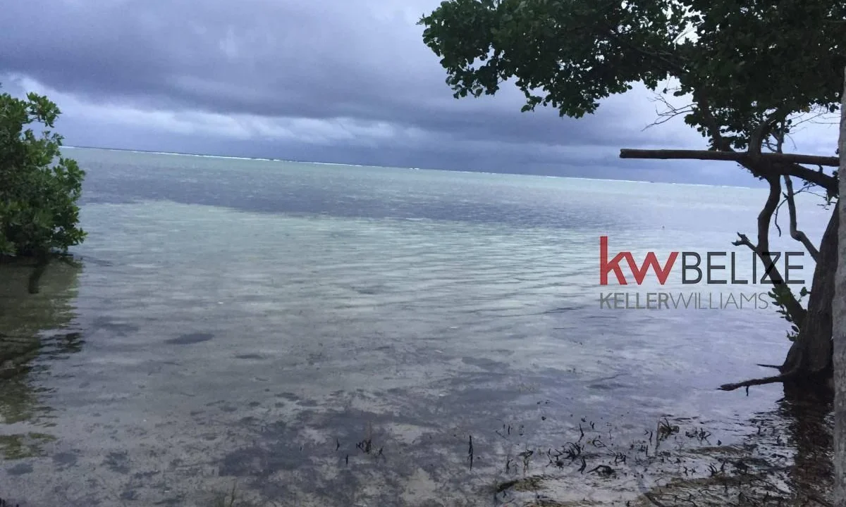 kellerwilliamsbelize-l032302mc-03