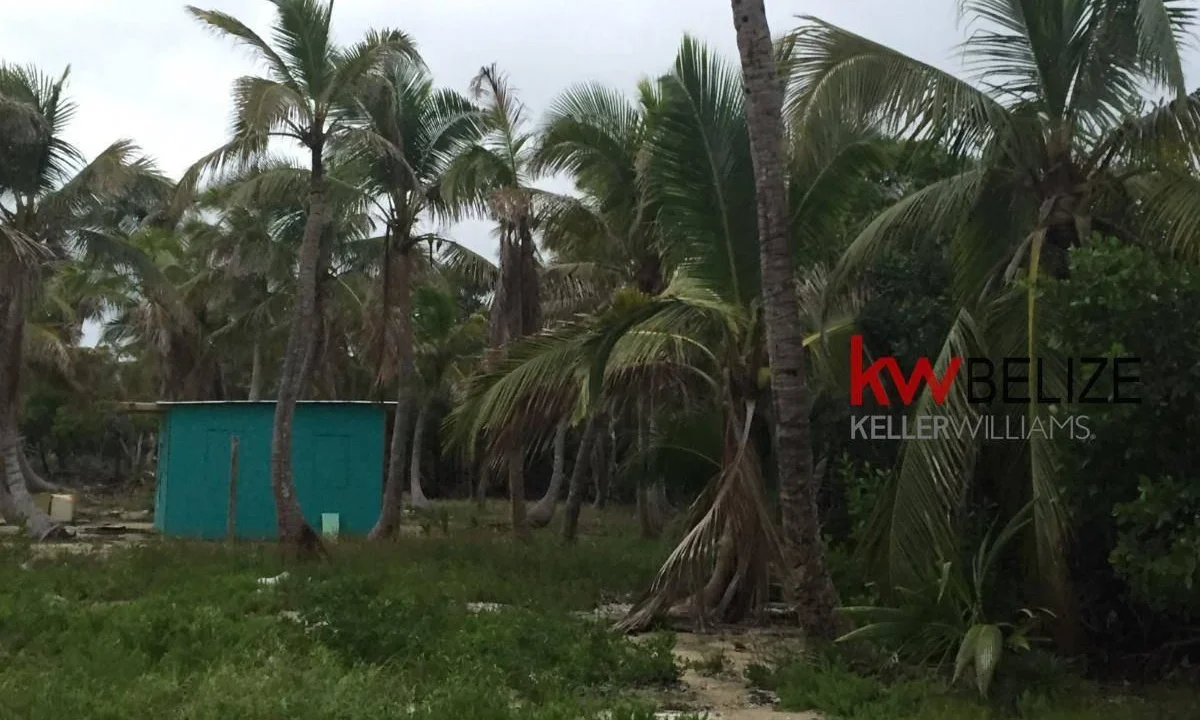 kellerwilliamsbelize-l032302mc-05