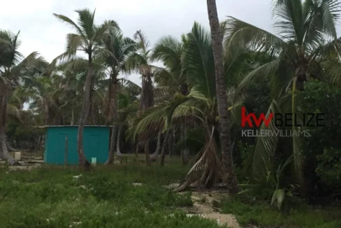 kellerwilliamsbelize-l032302mc-05