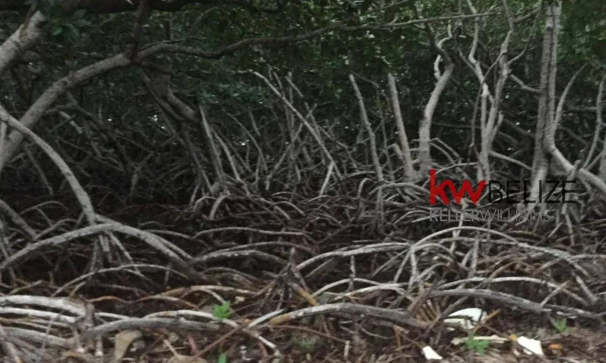 kellerwilliamsbelize-l032302mc-06