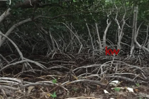 kellerwilliamsbelize-l032302mc-06