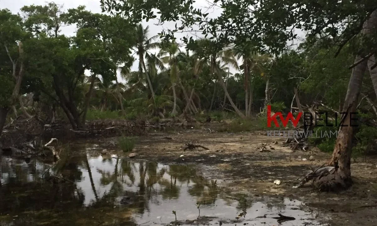 kellerwilliamsbelize-l032302mc-07