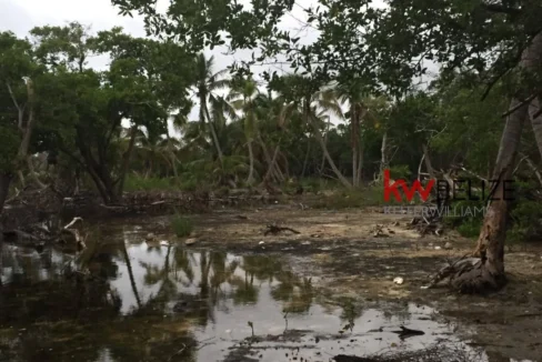 kellerwilliamsbelize-l032302mc-07