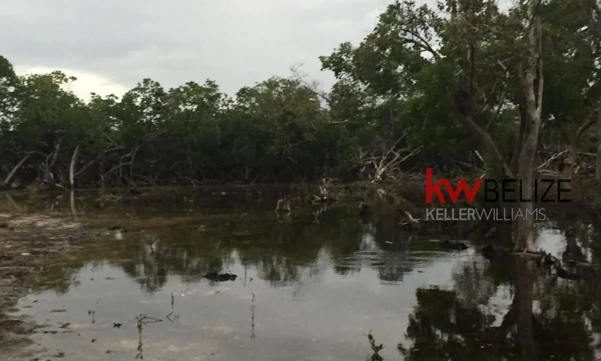 kellerwilliamsbelize-l032302mc-08