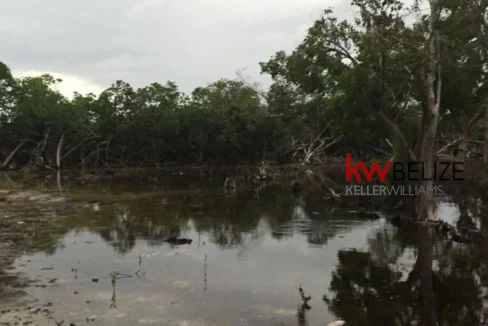 kellerwilliamsbelize-l032302mc-08