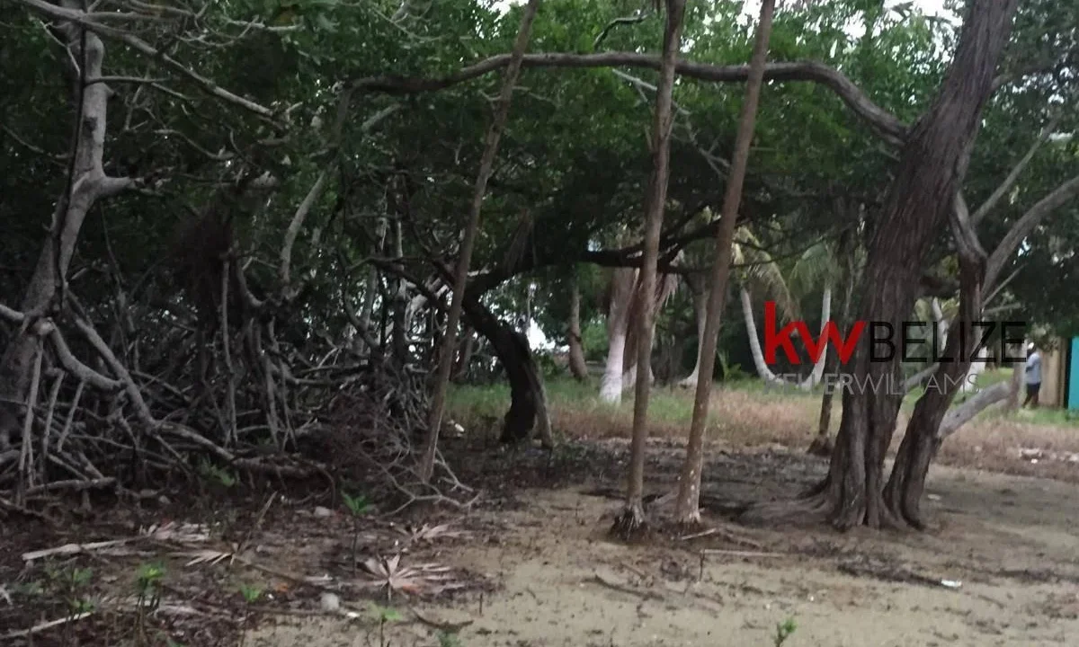 kellerwilliamsbelize-l032302mc-09
