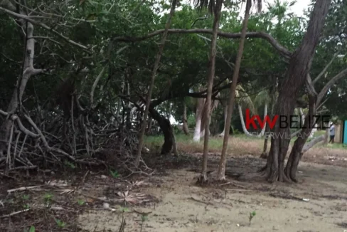 kellerwilliamsbelize-l032302mc-09