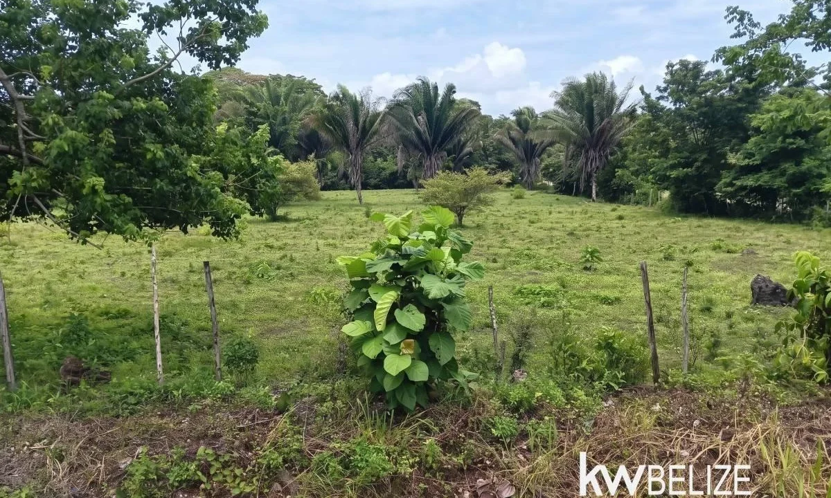 kellerwilliamsbelize-l032608tk-04