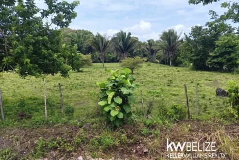 kellerwilliamsbelize-l032608tk-04