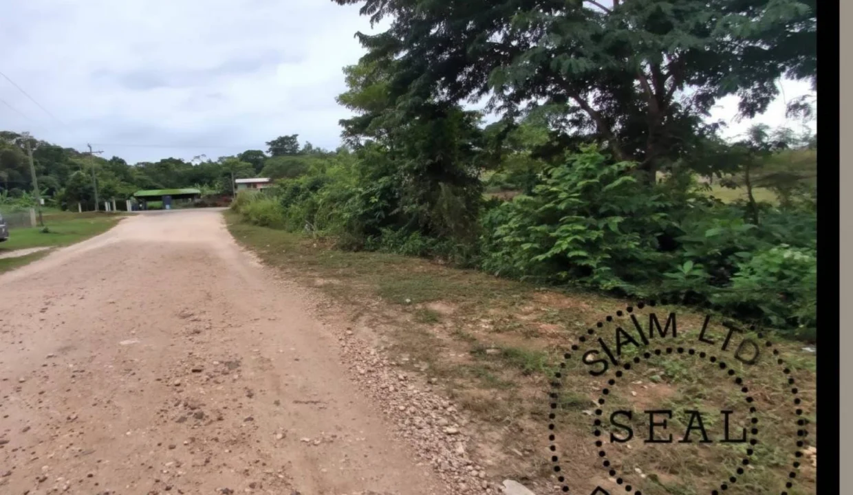 kellerwilliamsbelize-l032608tk-05