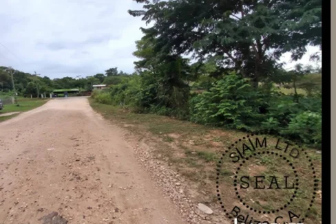 kellerwilliamsbelize-l032608tk-05