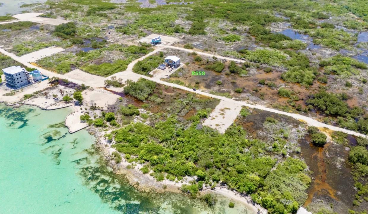 kellerwilliamsbelize-l041024sbsp-01