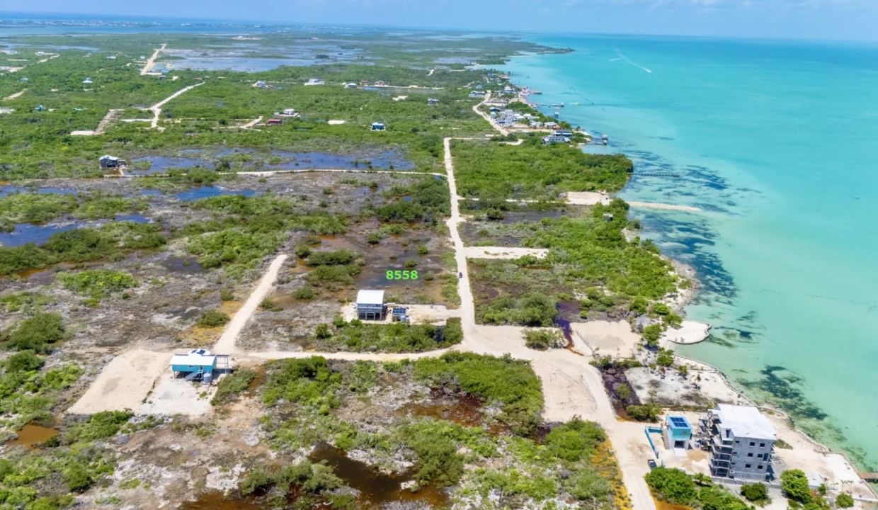 kellerwilliamsbelize-l041024sbsp-02