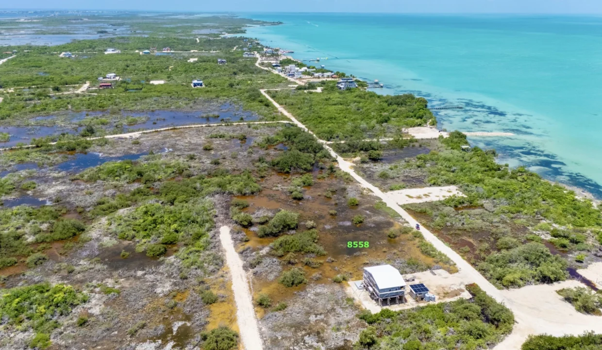 kellerwilliamsbelize-l041024sbsp-03